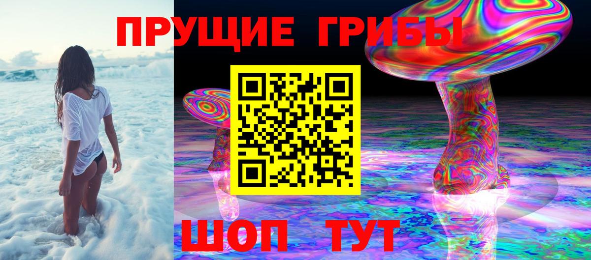 Псилоцибиновые грибы MAGIC MUSHROOMS  Вход с VPN  Полевской 