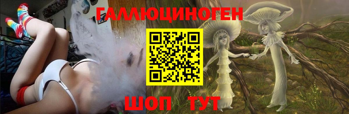 Псилоцибиновые грибы мицелий Полевской